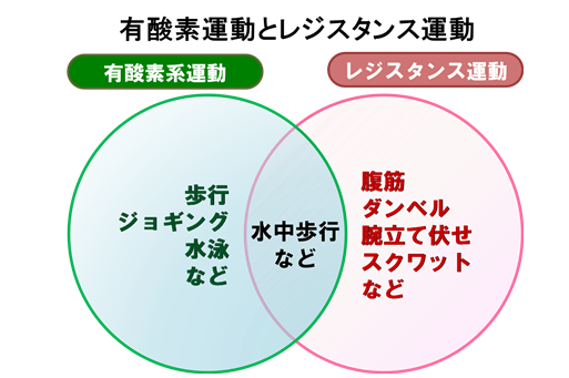 有酸素運動とレジスタンス運動