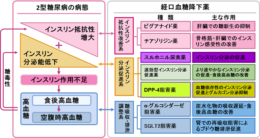 糖尿病治療ガイド2014-2015 P.29 改変